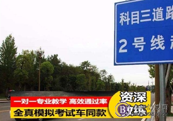 合肥?合客长安,八一,金武联等科目三考场实地路线视频图模拟**练车